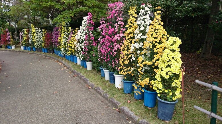 f:id:origuchiisao:20161123192844j:image f:id:origuchiisao:20161123192844j:image