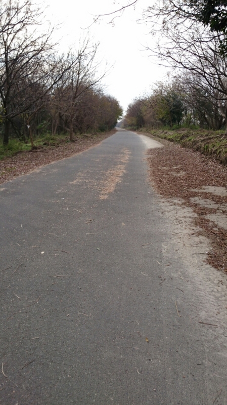 f:id:origuchiisao:20170104135950j:image f:id:origuchiisao:20170104135950j:image