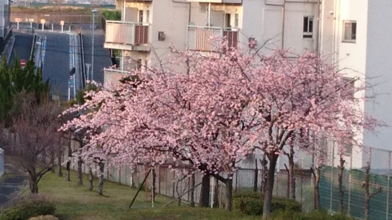 f:id:origuchiisao:20170322173006j:image