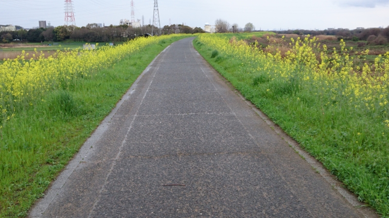 f:id:origuchiisao:20170409085655j:image