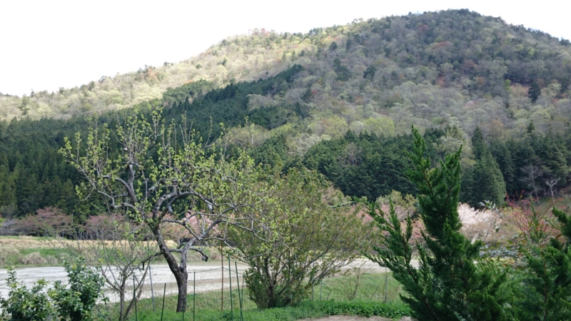 f:id:origuchiisao:20170419103616j:image