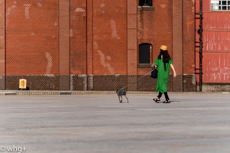 雑写 #11・・ A056