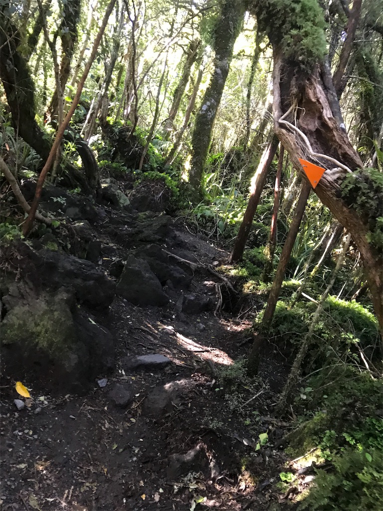 f:id:orihato:20191105072605j:image f:id:orihato:20191105072605j:image