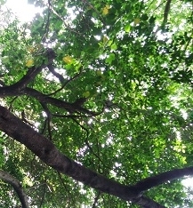 f:id:orihime-vega:20180608203631j:plain f:id:orihime-vega:20180608203631j:plain