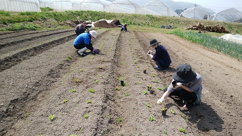 f:id:orihime-vega:20190429105456j:plain f:id:orihime-vega:20190429105456j:plain