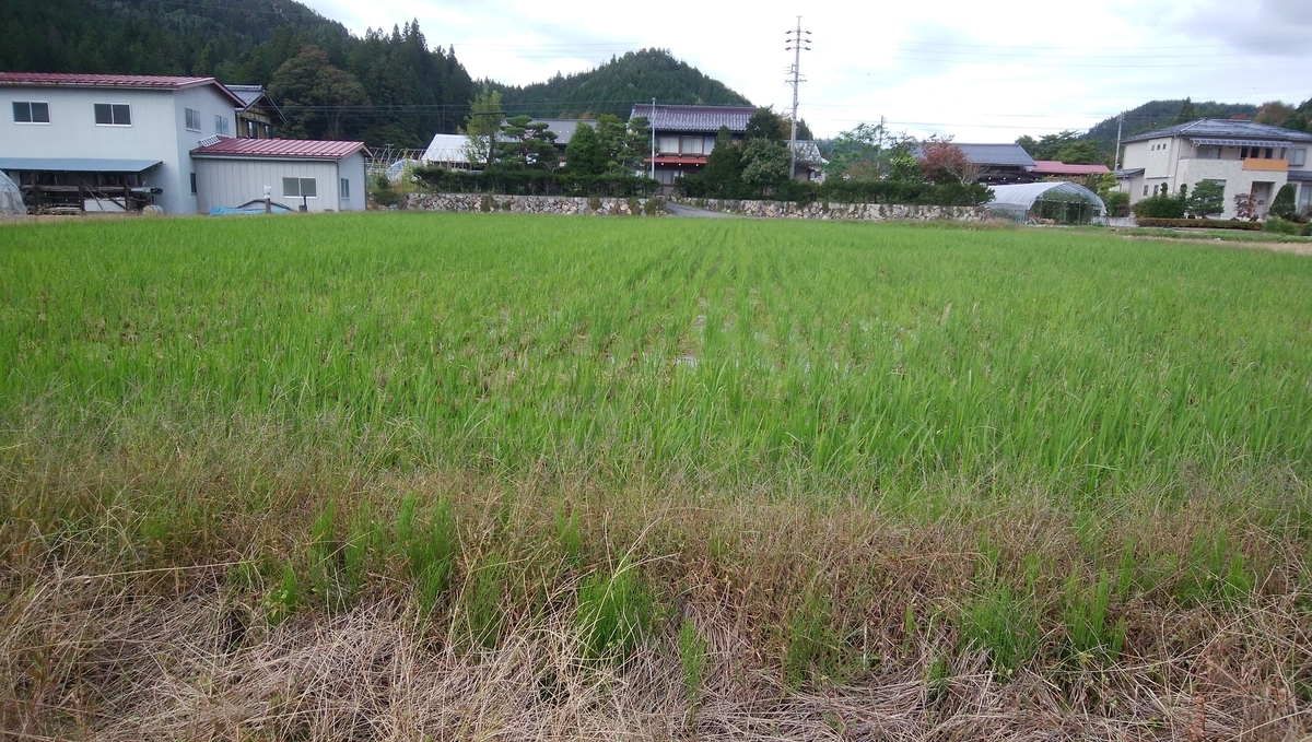f:id:orihime-vega:20191023213618j:plain