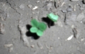 20100415000040