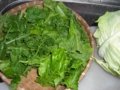 20100420210450