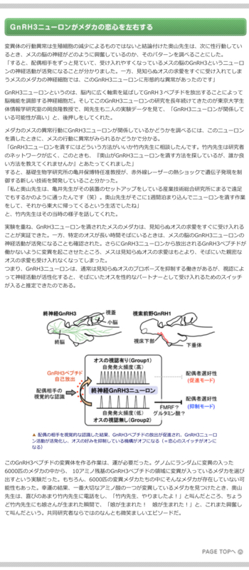 f:id:orihuret:20141013002603j:image:w640