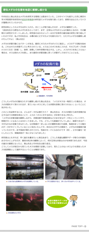 f:id:orihuret:20141013002742j:image:w640