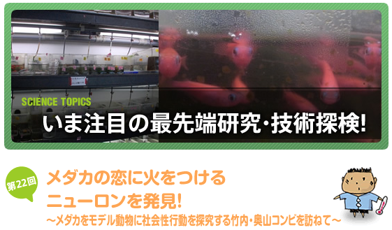 f:id:orihuret:20141013002948p:image