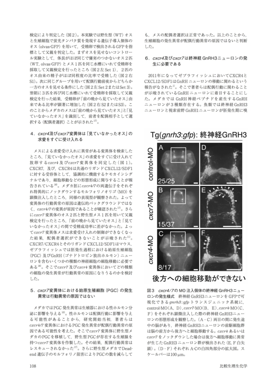 f:id:orihuret:20141013183622j:image