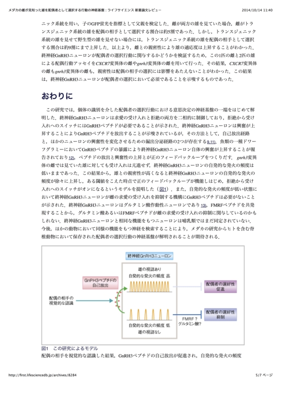 f:id:orihuret:20141014114439j:image