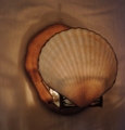 20150626145308