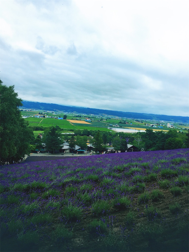 f:id:oringo0417:20200731113529j:image