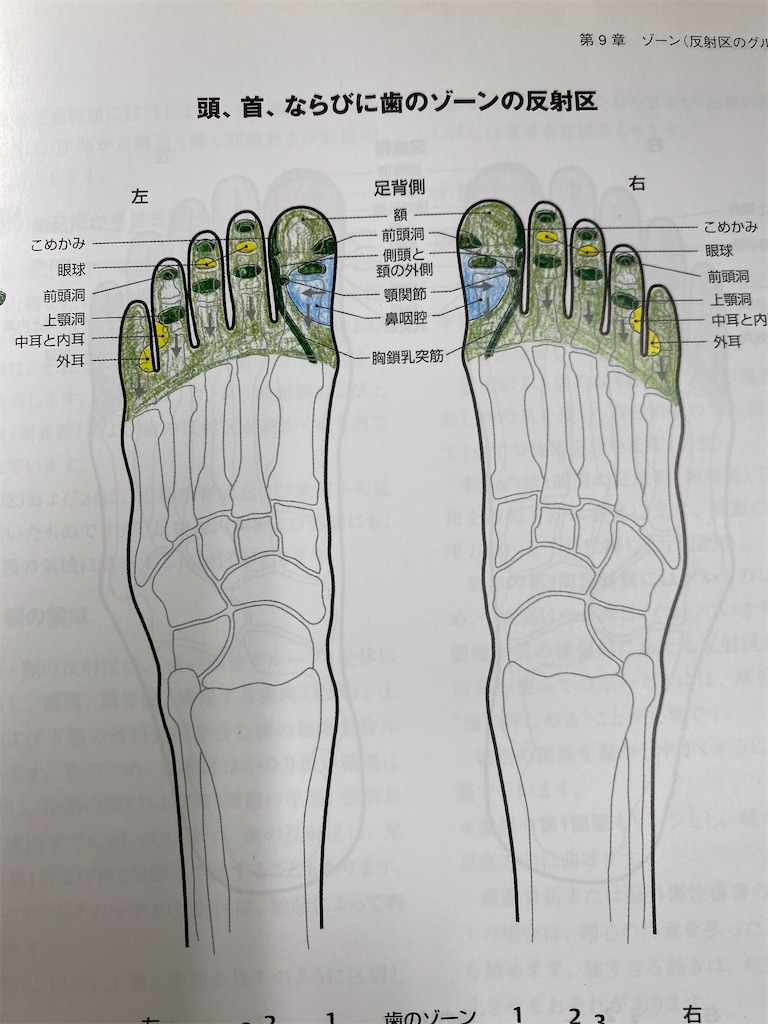 f:id:orinomayashini:20250405091757j:image