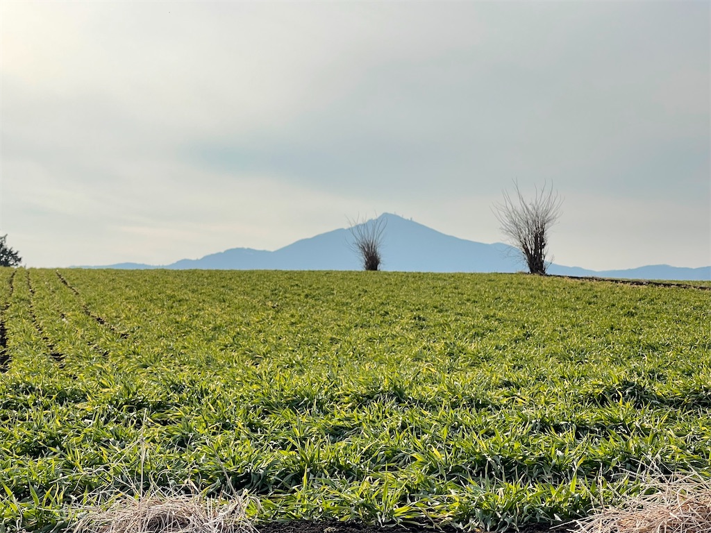 f:id:orion3stax:20220214183101j:image