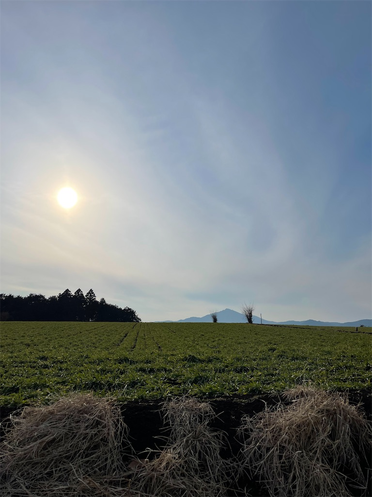 f:id:orion3stax:20220214183114j:image