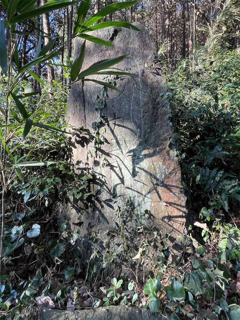 f:id:orion3stax:20230201071006j:image