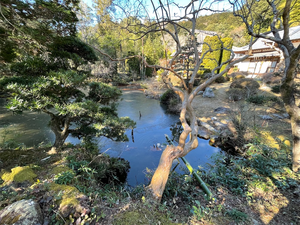 f:id:orion3stax:20230201071037j:image