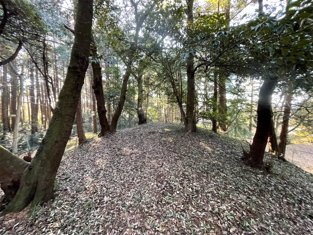 f:id:orion3stax:20230201071209j:image
