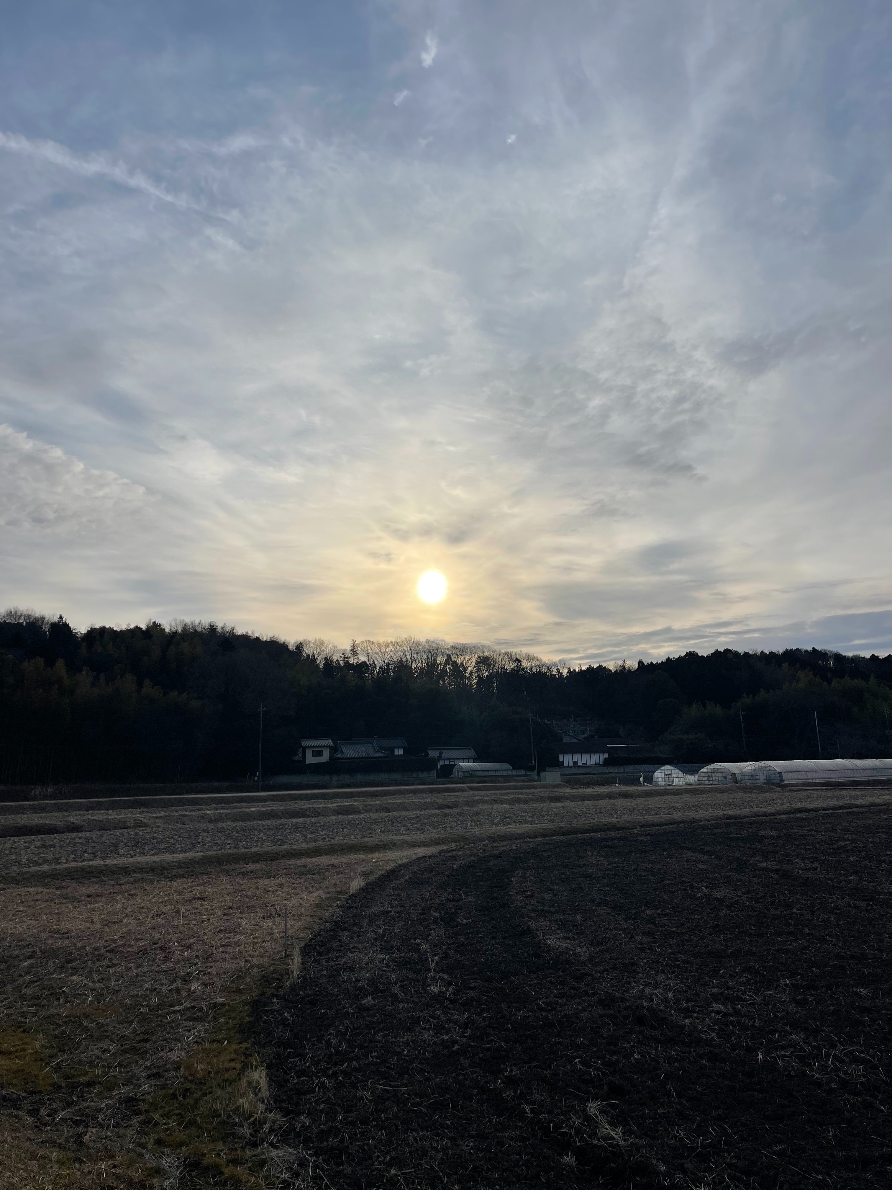 f:id:orion3stax:20230204195017j:image