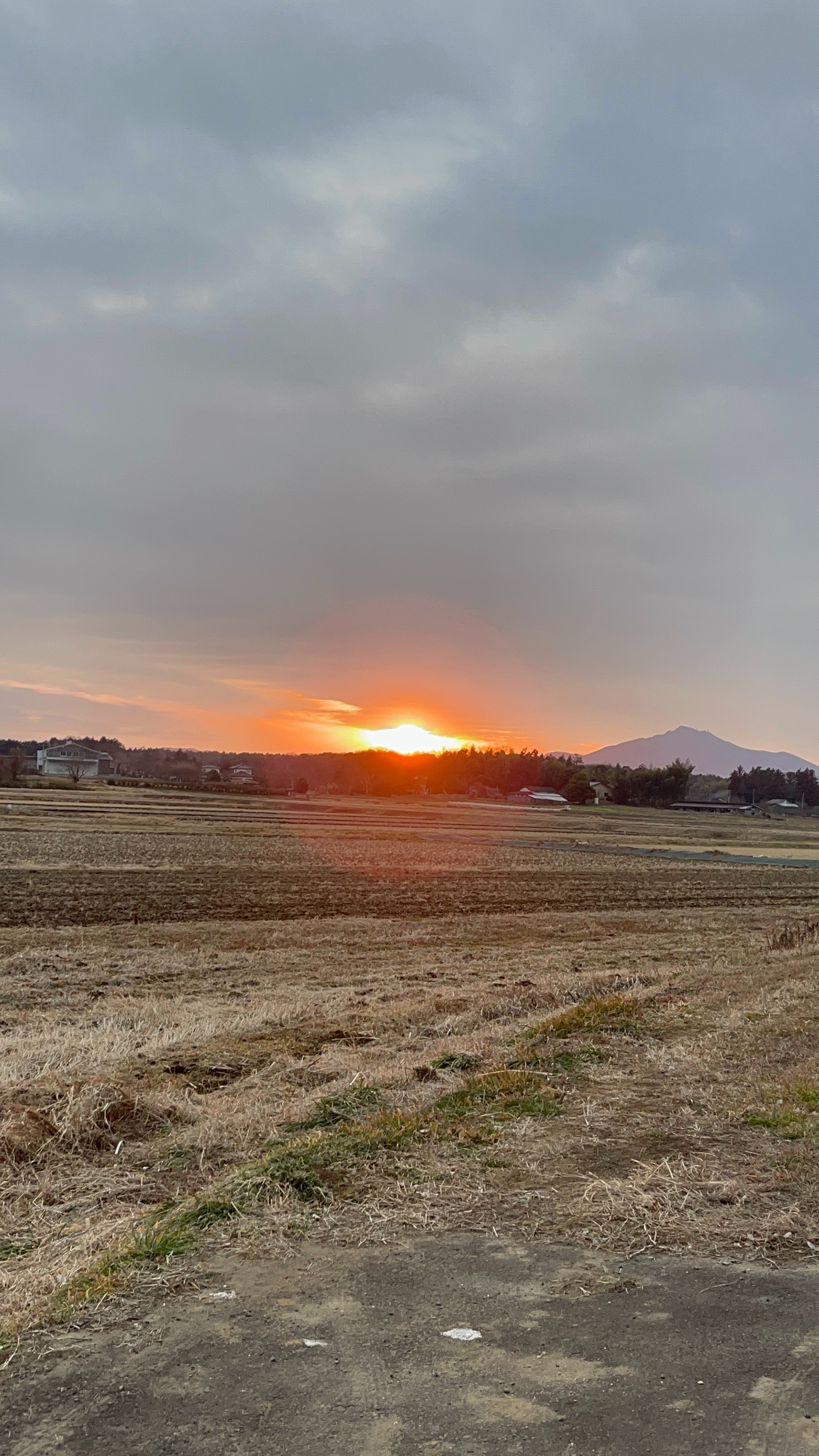 f:id:orion3stax:20230204195205j:image