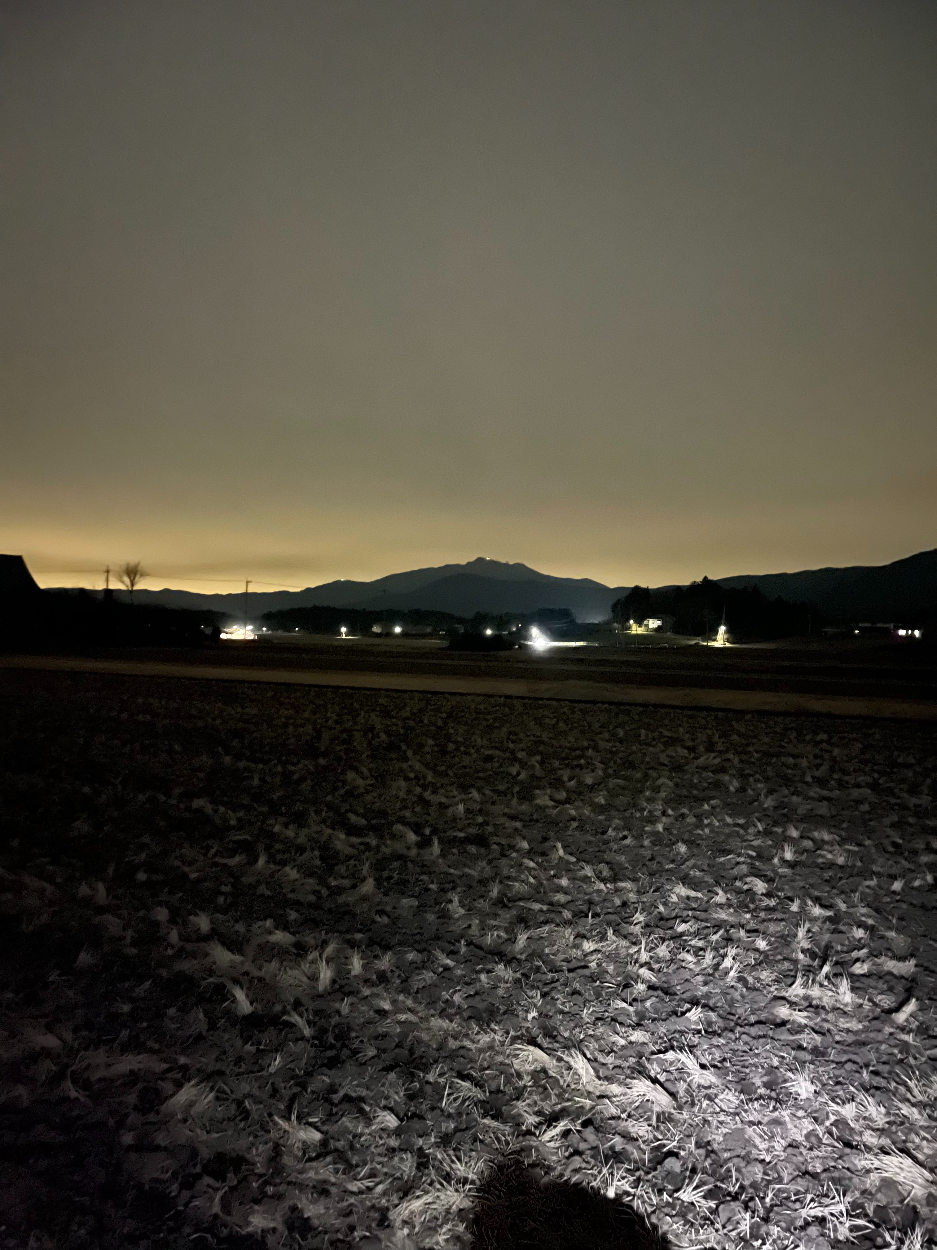 f:id:orion3stax:20230204200349j:image