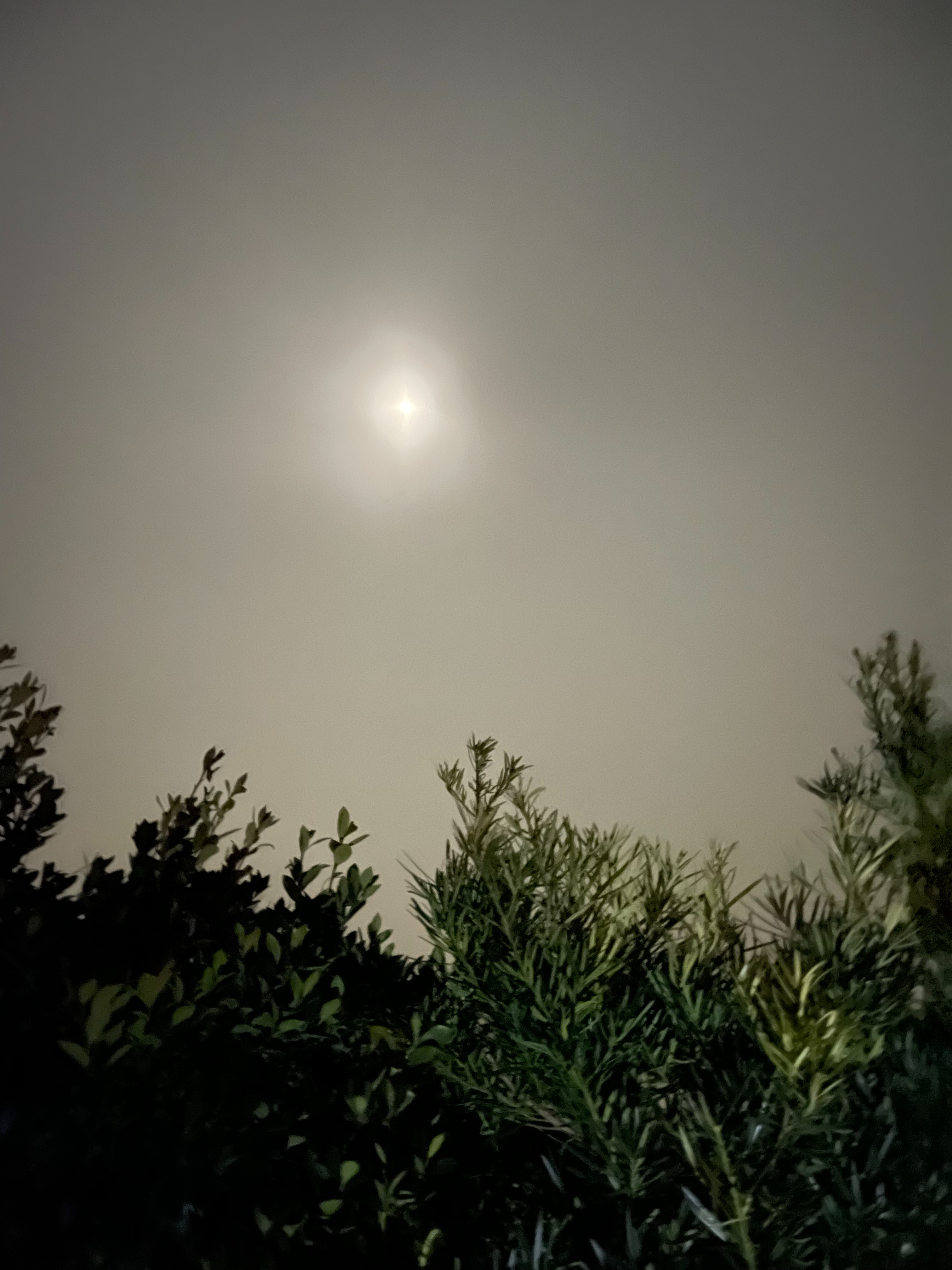 f:id:orion3stax:20230204200357j:image