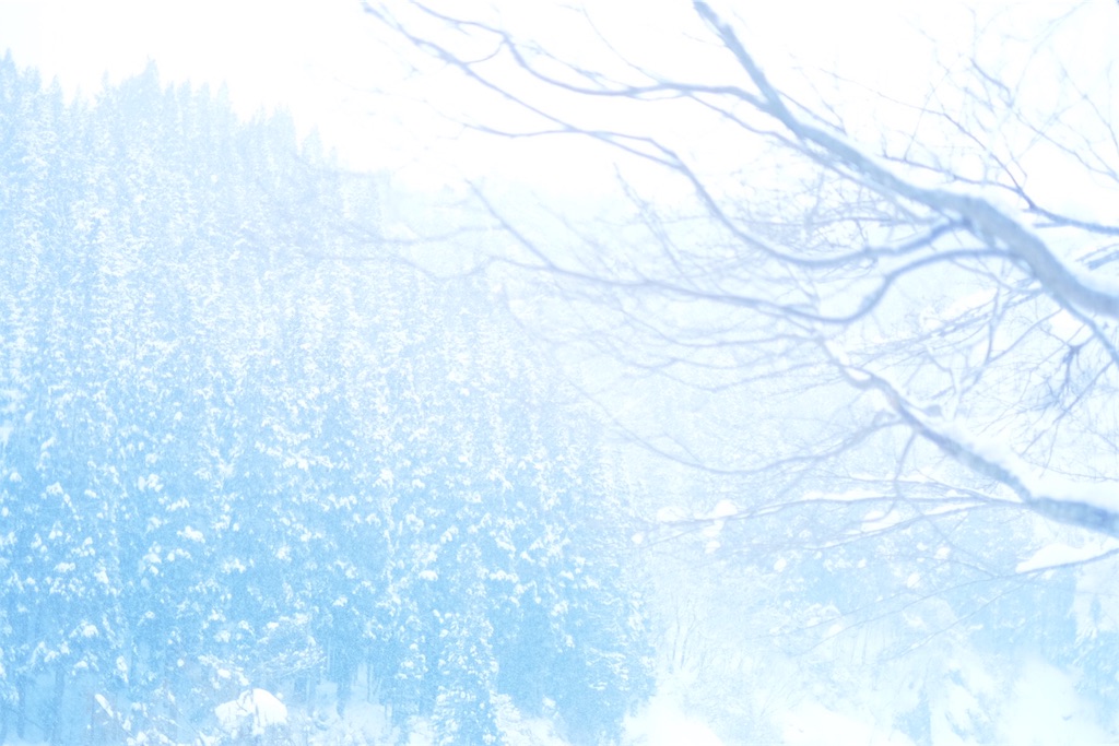 f:id:orion_lix:20171201004609j:image