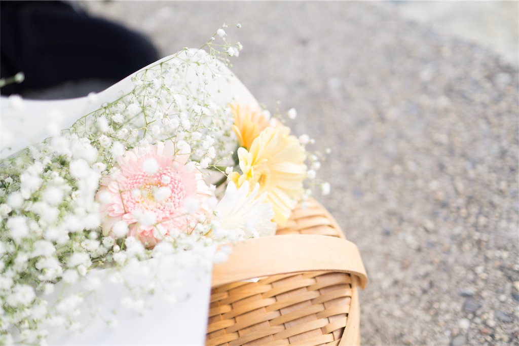 f:id:orion_lix:20180602005122j:image