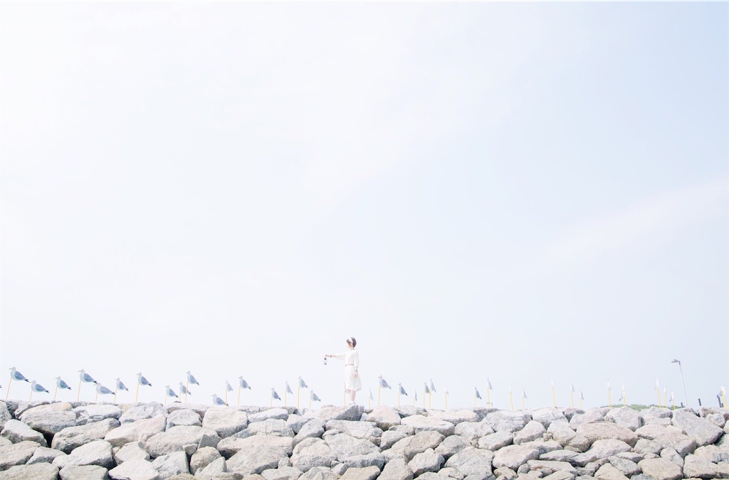 f:id:orion_lix:20180602005627j:image