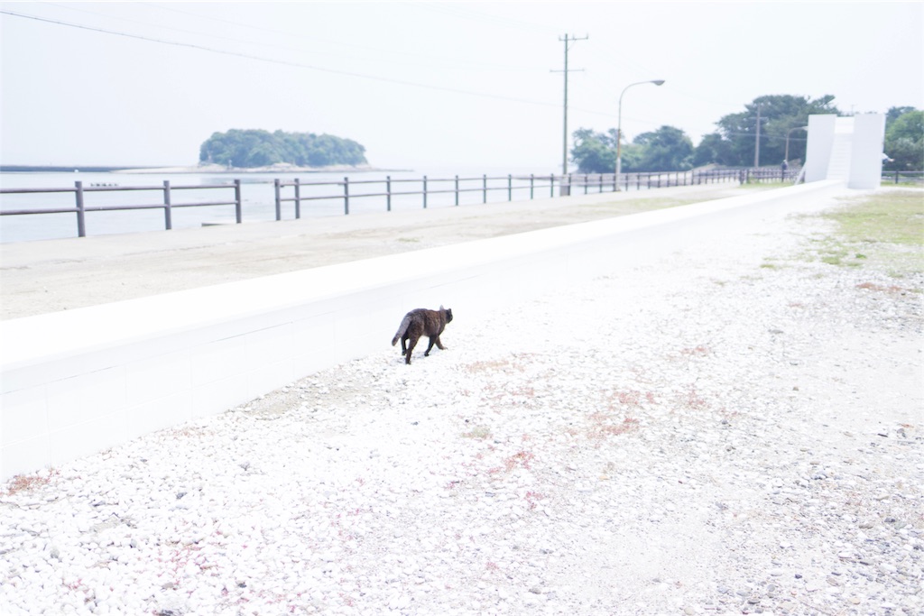 f:id:orion_lix:20180602010727j:image