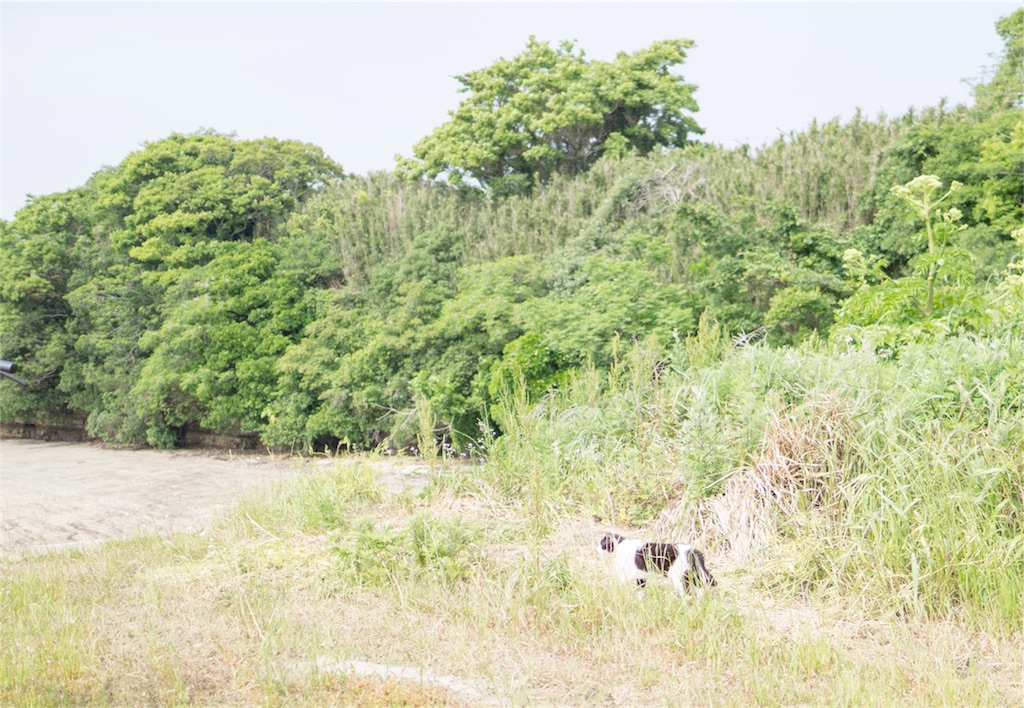 f:id:orion_lix:20180602010737j:image