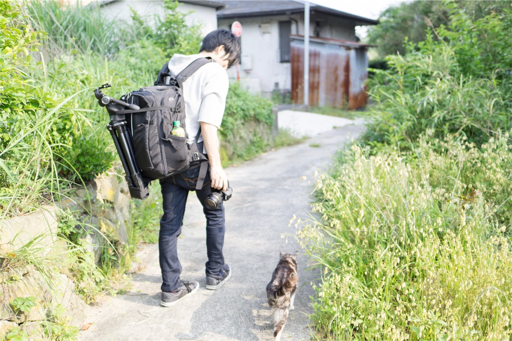 f:id:orion_lix:20180602010757j:image