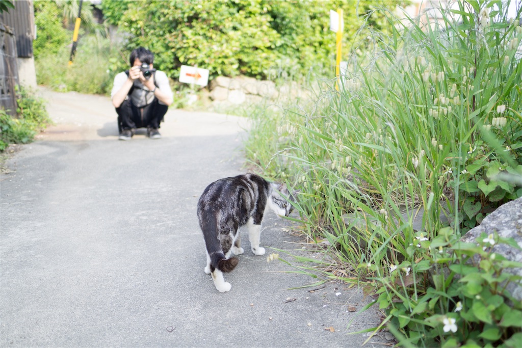 f:id:orion_lix:20180602010954j:image