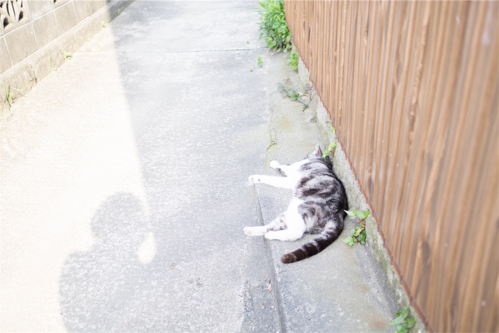 f:id:orion_lix:20180602011004j:image