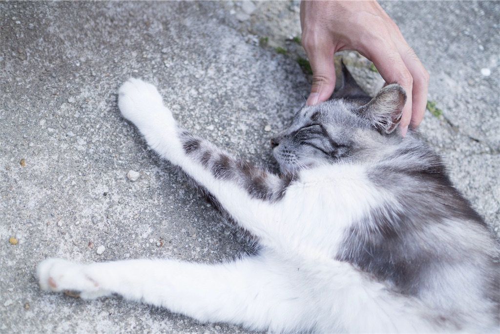 f:id:orion_lix:20180602011108j:image