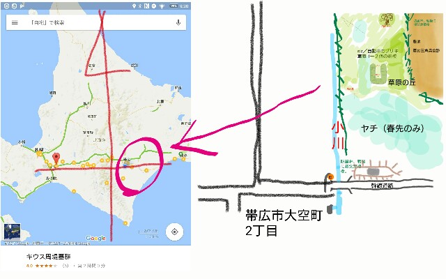 f:id:orionseijin_cacacakah:20171029142937j:image