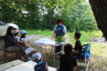 f:id:oriwori:20120729100440j:image:w360 f:id:oriwori:20120729100440j:image:w360