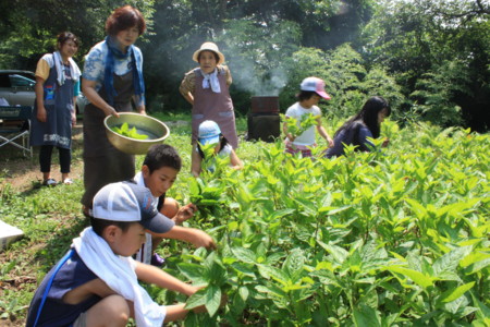 f:id:oriwori:20120729101716j:image:w360