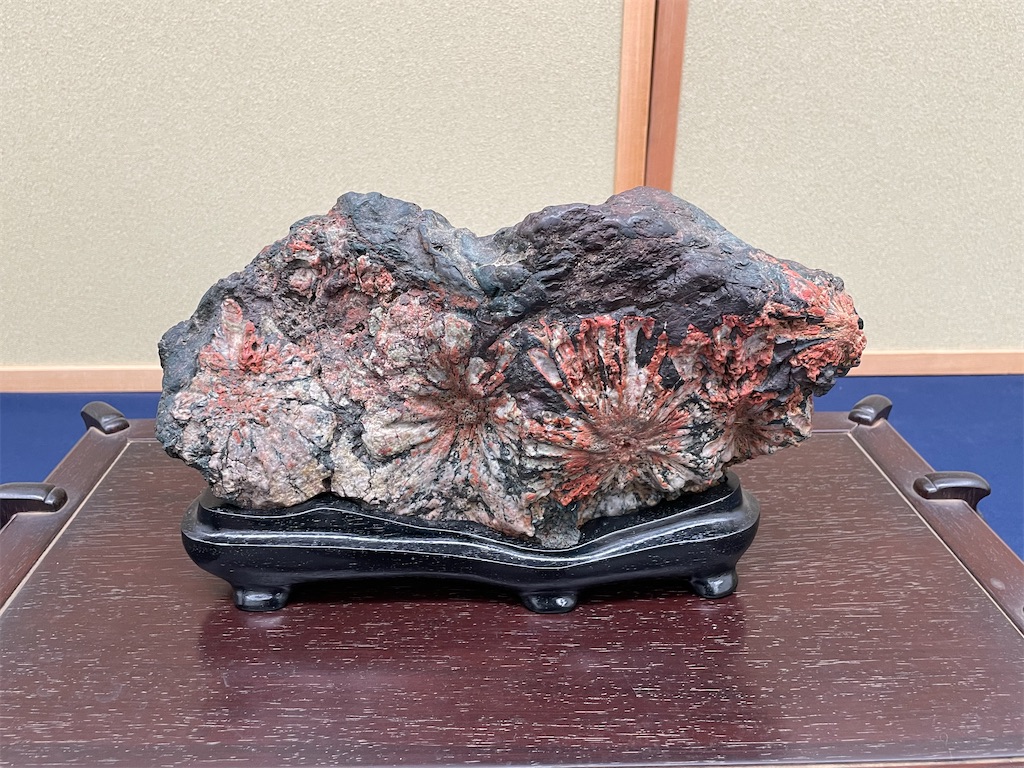 f:id:orizome:20230218214005j:image