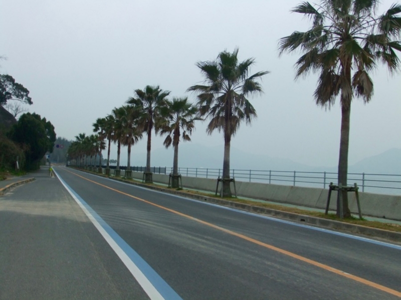 f:id:ornith:20120308134544j:plain