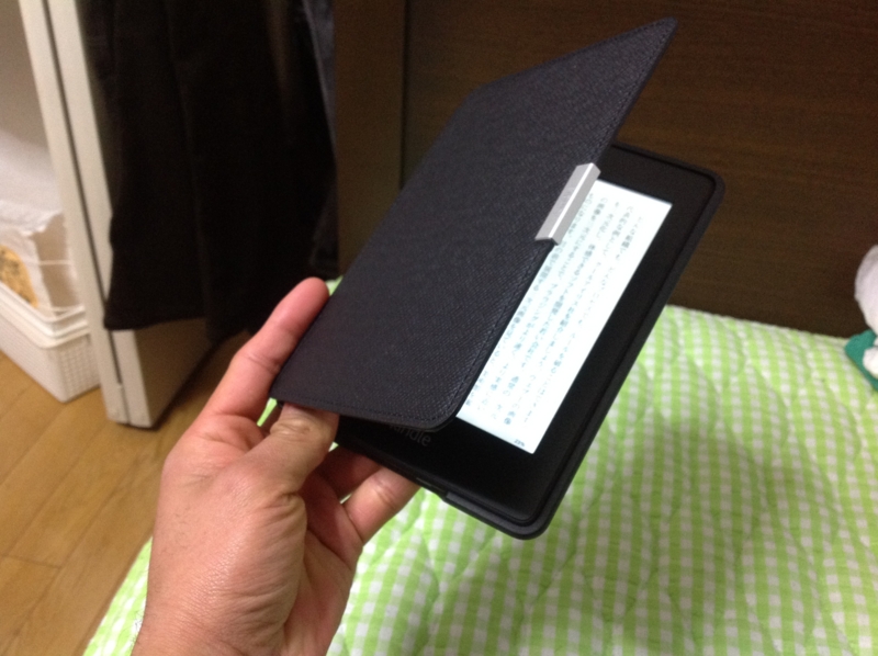 f:id:ornith:20130202001028j:plain