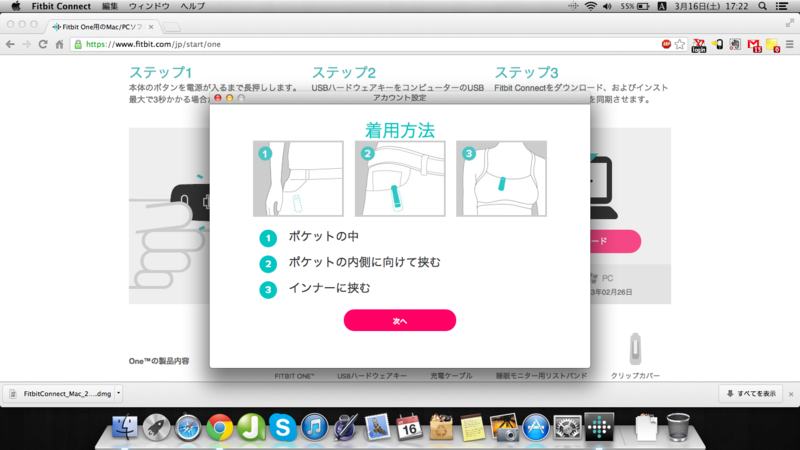 f:id:ornith:20130316181135p:plain