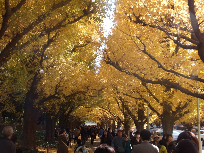 f:id:ornith:20131127124621j:plain