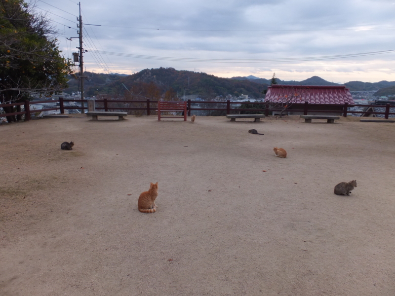 f:id:ornith:20131208084554j:plain