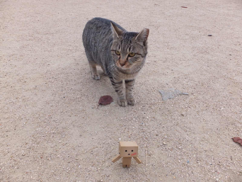 f:id:ornith:20131208084713j:plain