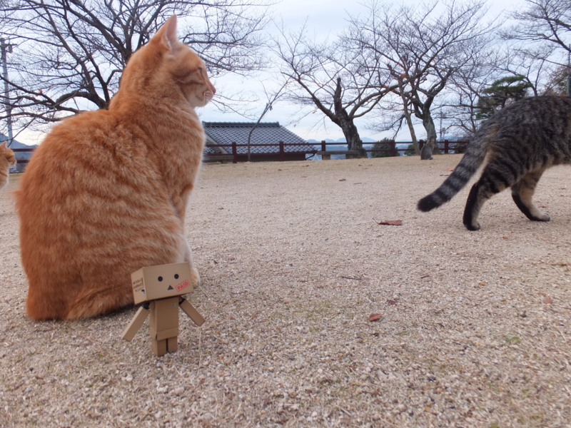 f:id:ornith:20131208084725j:plain