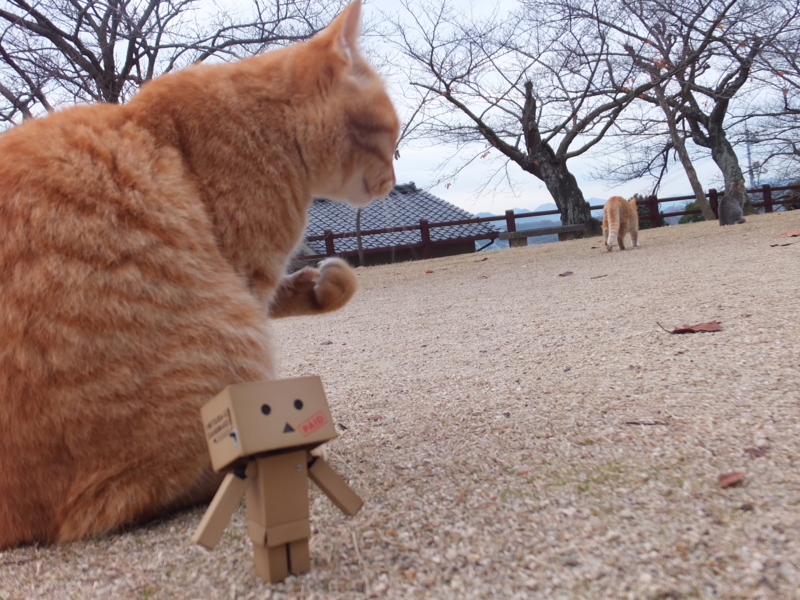 f:id:ornith:20131208084731j:plain